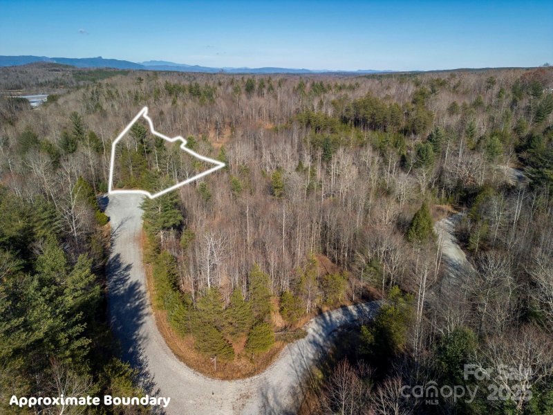 Property image 4 of 126 Blackberry Creek in Blackberry Creek, Nebo, NC 28761