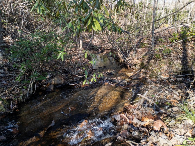 Property image 5 of 126 Blackberry Creek in Blackberry Creek, Nebo, NC 28761
