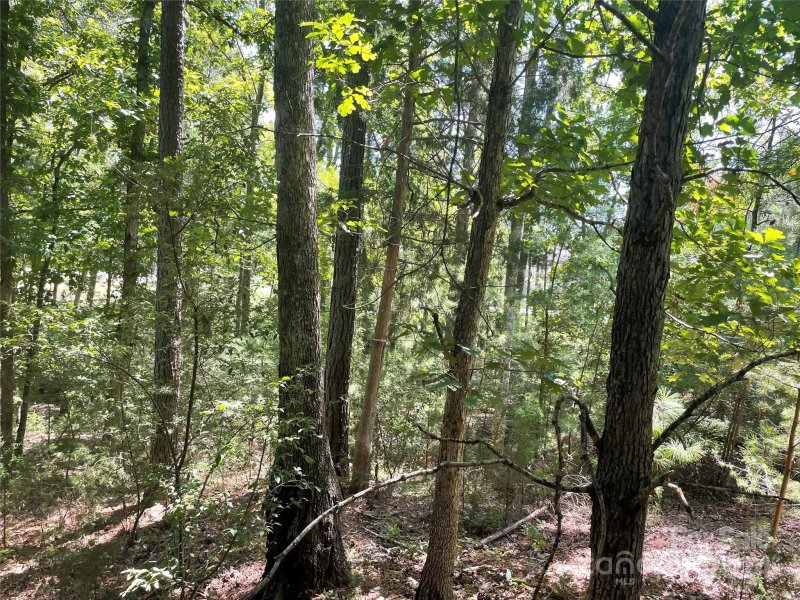 Property image 4 at 00 Pine Moss Lane, Clover, SC 29710