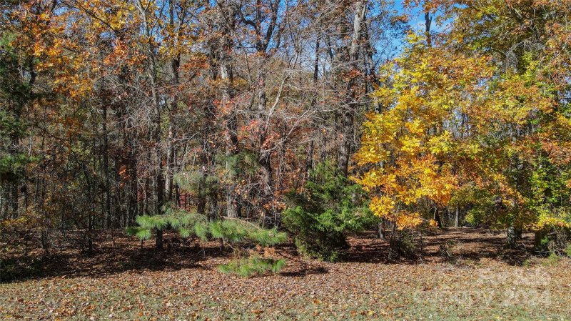 Property image 5 at 9525 Sweetleaf Place, Charlotte, NC 28278