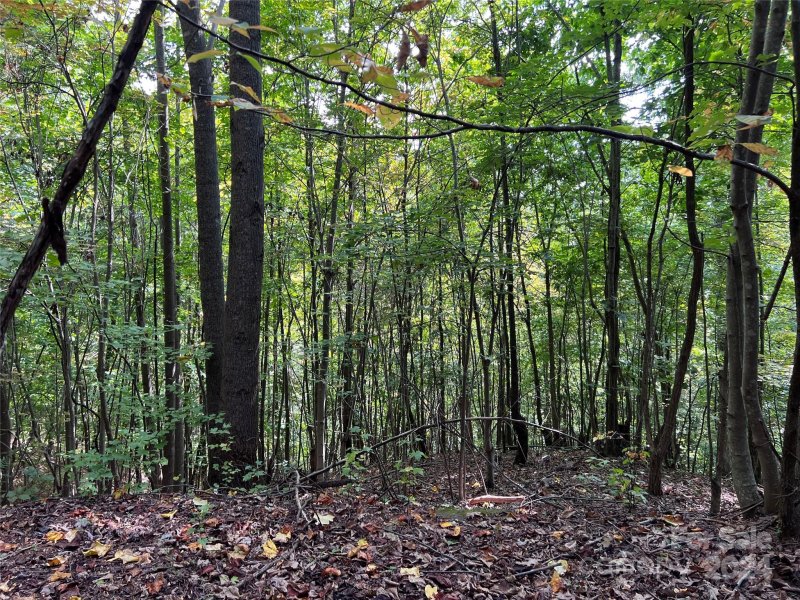 Property image 2 of 0 Old Forge Drive in The Summit, Bostic, NC 28018