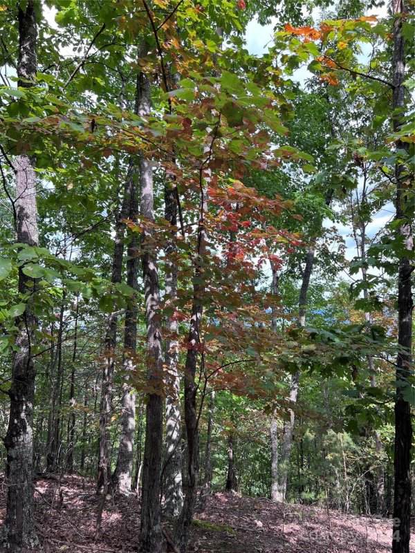 Property image 2 of 0 Scouts Trail in The Summit, Bostic, NC 28018