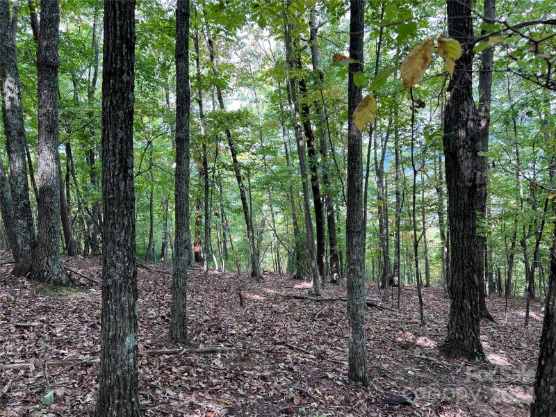 Property image 3 of 0 Scouts Trail in The Summit, Bostic, NC 28018