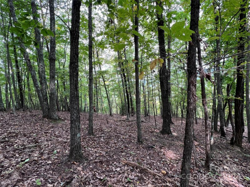 Property image 4 of 0 Scouts Trail in The Summit, Bostic, NC 28018