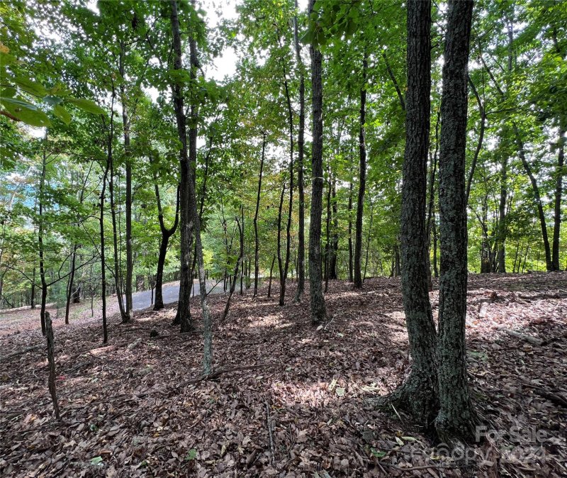 Property image 5 of 0 Scouts Trail in The Summit, Bostic, NC 28018