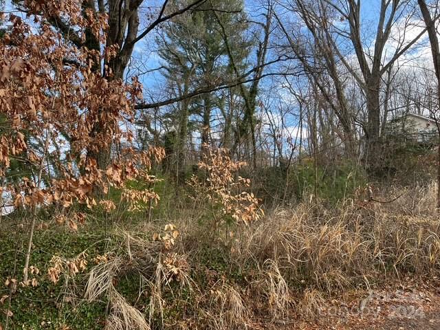 Property image 3 at 99999 Stoner View Road, Asheville, NC 28803