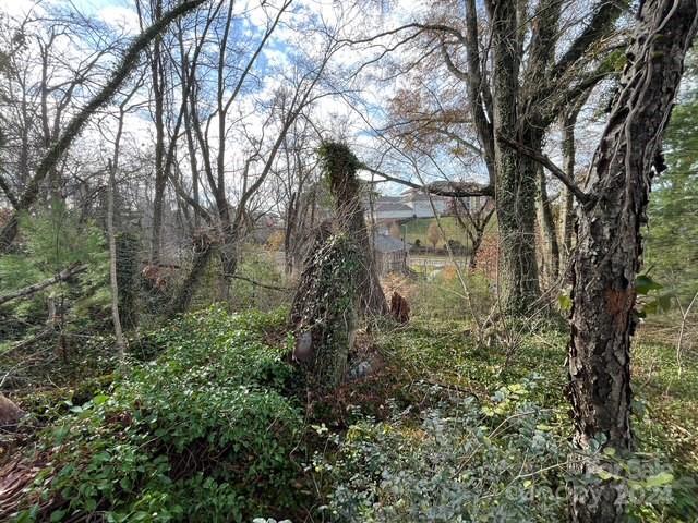 Property image 4 at 99999 Stoner View Road, Asheville, NC 28803