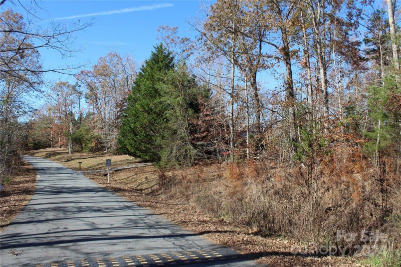 Property image 3 at 453 River Ridge Parkway, Rutherfordton, NC 28139