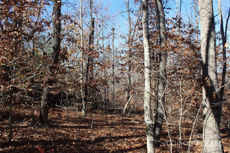 Property image 5 at 453 River Ridge Parkway, Rutherfordton, NC 28139