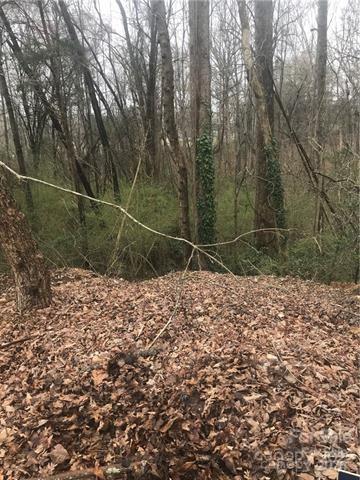 Property image 3 at 156 Bufflehead Drive, Mooresville, NC 28117