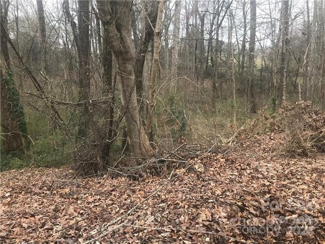 Property image 4 at 156 Bufflehead Drive, Mooresville, NC 28117