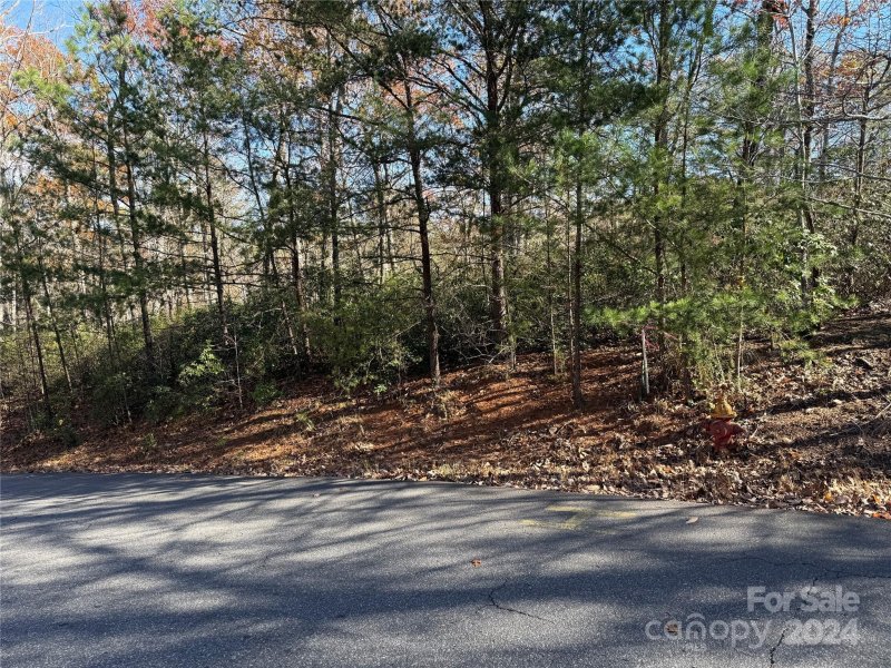 Property image 3 of Lot 48 Shumont Estates Drive in Shumont Estates, Lake Lure, NC 28746
