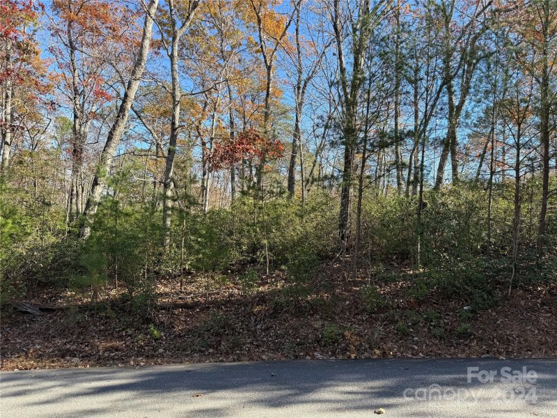 Property image 4 of Lot 48 Shumont Estates Drive in Shumont Estates, Lake Lure, NC 28746