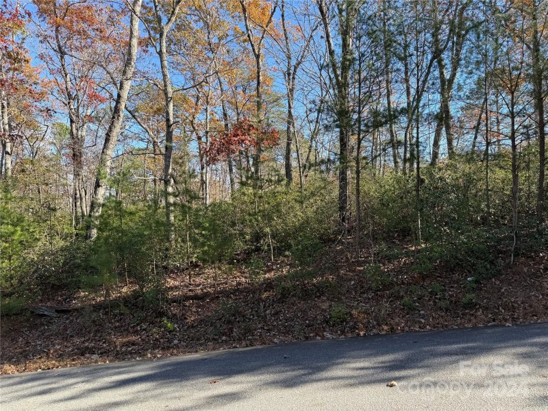 Property image 5 of Lot 48 Shumont Estates Drive in Shumont Estates, Lake Lure, NC 28746