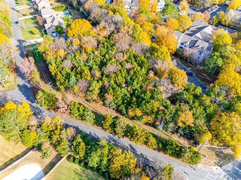 Property image 4 of 3519 Arboretum View in Arboretum Crossing, Charlotte, NC 28226