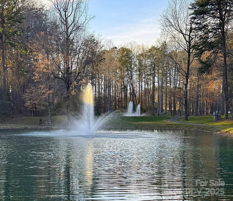 Property image 3 of 1304 Reflection Pointe Boulevard in Reflection Pointe, Belmont, NC 28012