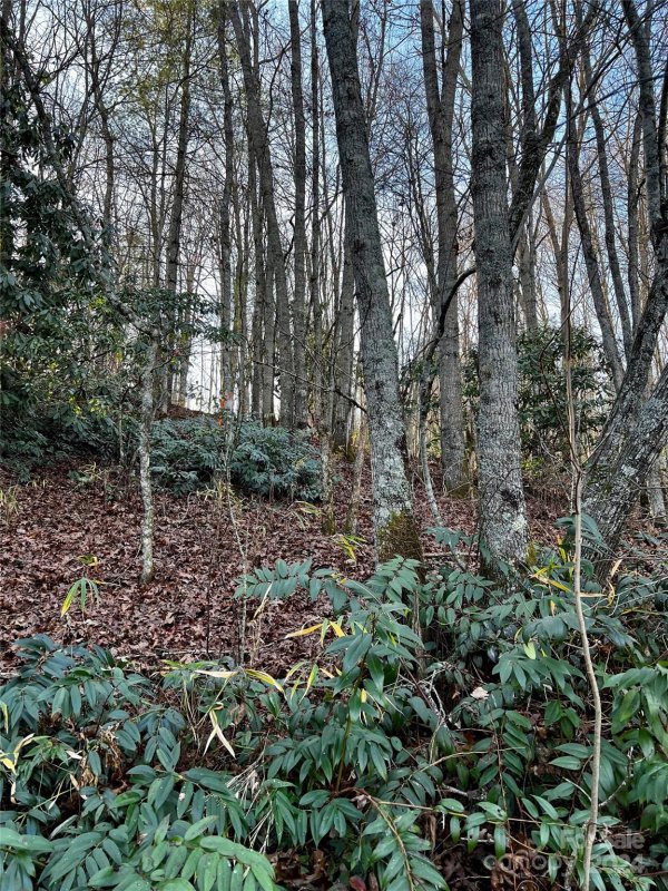 Property image 3 of Lot 2 Sweetwater Ridge Road in Sweetwater Ridge, Balsam Grove, NC 28768