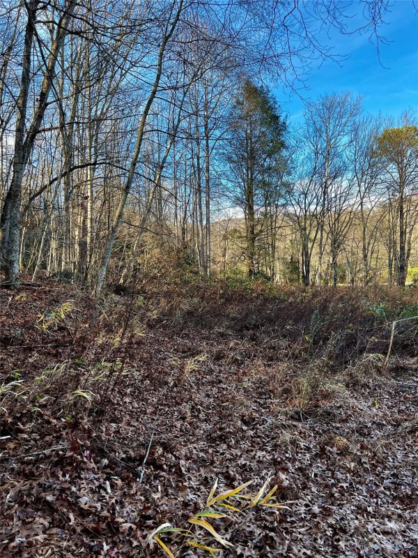 Property image 4 of Lot 2 Sweetwater Ridge Road in Sweetwater Ridge, Balsam Grove, NC 28768