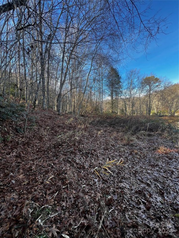 Property image 5 of Lot 2 Sweetwater Ridge Road in Sweetwater Ridge, Balsam Grove, NC 28768