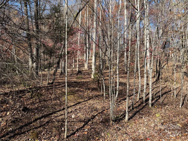 Property image 2 of Lot 72 Lakewood Drive in Shumont Estates, Lake Lure, NC 28746