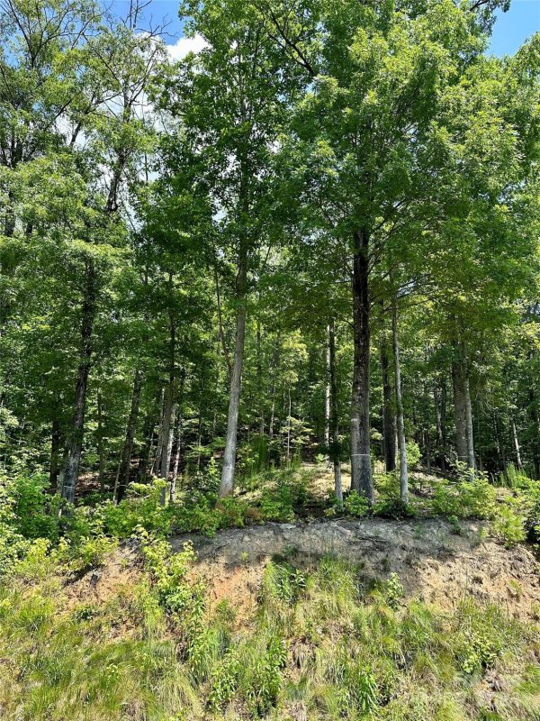 Property image 2 of 4110 French Broad Parkway in French Broad Crossing, Marshall, NC 28753