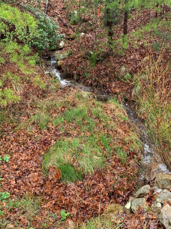 Property image 4 of 4110 French Broad Parkway in French Broad Crossing, Marshall, NC 28753