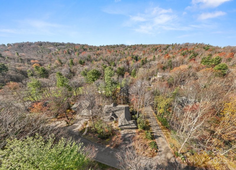 Property image 4 at 223 Fern Creek Drive, Flat Rock, NC 28731