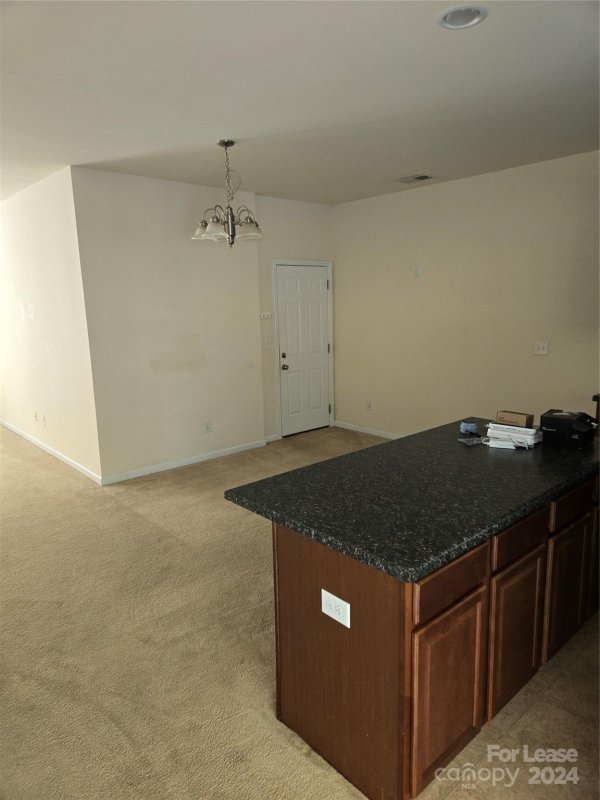 Property image 4 at 13747 Singleleaf Lane, Charlotte, NC 28278