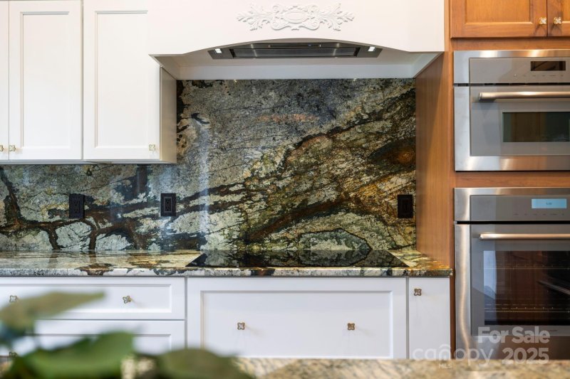 Property image 5 of 73 Wisdom Cove Road in Solomons Cove, Flat Rock, NC 28731