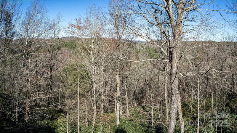 Property image 3 at 183 Wildwood Way, Lake Toxaway, NC 28747