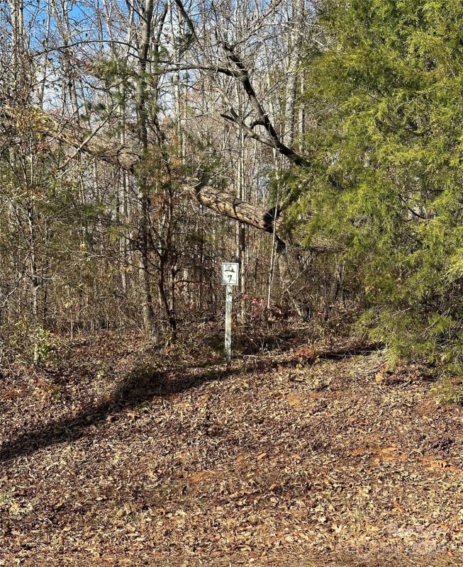 Property image 2 at 0 Cline Farm Road, Lincolnton, NC 28092