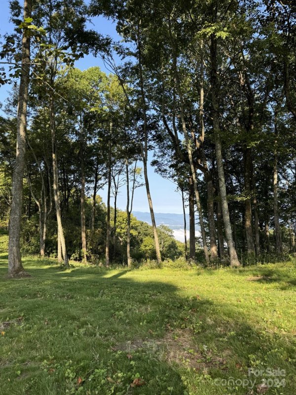 Property image 3 at 0000 West Garden Trail, Hendersonville, NC 28792