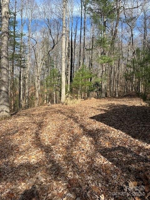 Property image 4 at 5 Rosemary Trail, Flat Rock, NC 28731