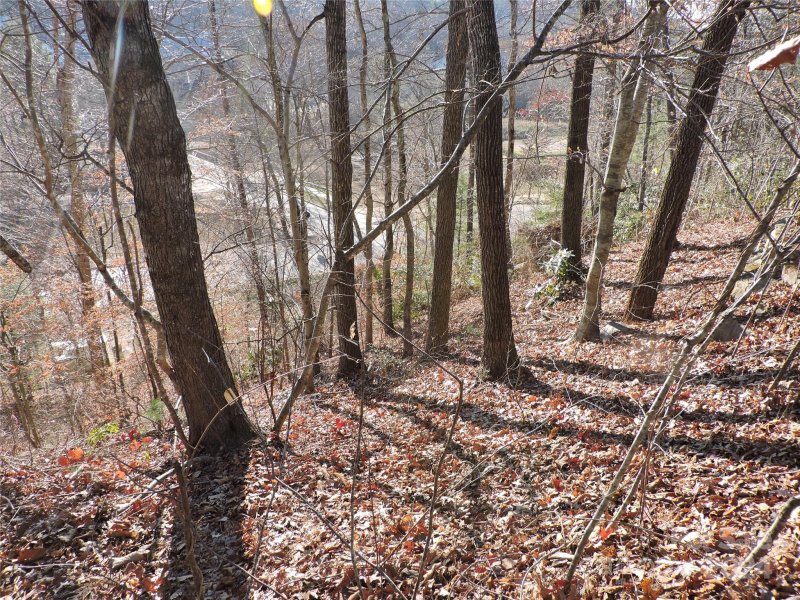 Property image 4 of 10 Whitman Lane in Cheshire, Black Mountain, NC 28711