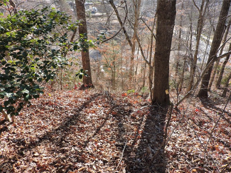 Property image 5 of 10 Whitman Lane in Cheshire, Black Mountain, NC 28711