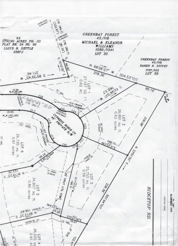 Property image 4 at 111 Cypress Ridge Lane, Mooresville, NC 28117