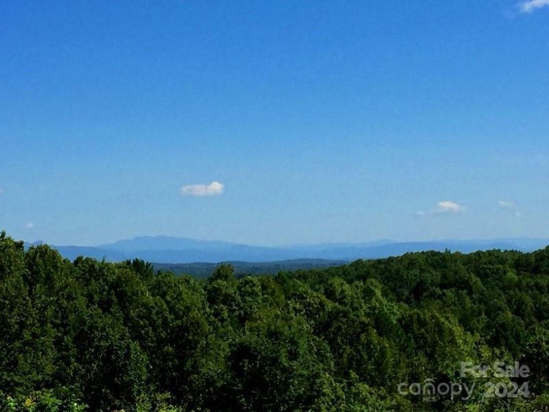 Property image 3 at 65 Serene Trail, Nebo, NC 28761