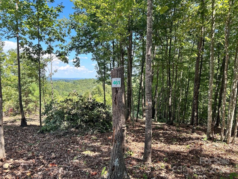 Property image 4 at 65 Serene Trail, Nebo, NC 28761