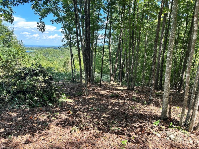 Property image 5 at 65 Serene Trail, Nebo, NC 28761