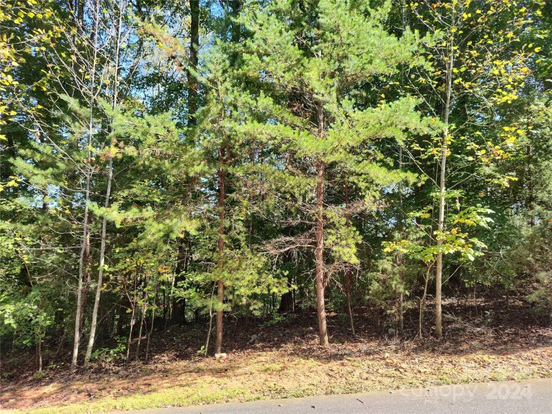 Property image 4 of 3118 Mountain Creek Drive in Mountain Creek Ridge, Sherrills Ford, NC 28673