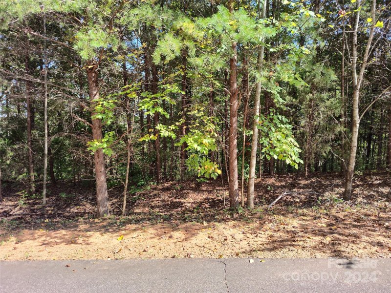 Property image 5 of 3118 Mountain Creek Drive in Mountain Creek Ridge, Sherrills Ford, NC 28673