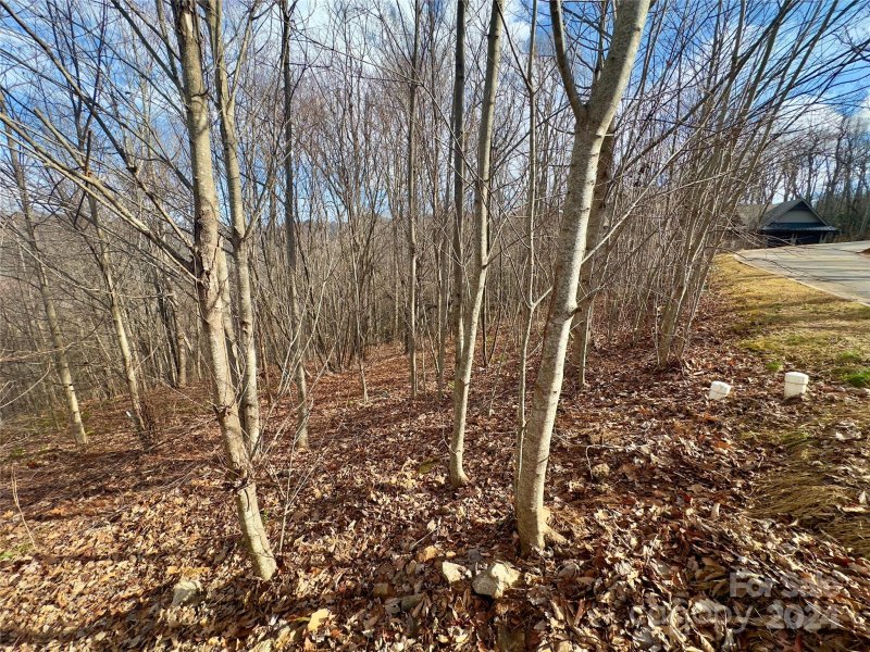 Property image 3 at 21 Crockett Ridge Road, Black Mountain, NC 28711