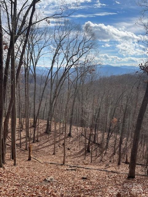 Property image 2 of 00 Signature Row Boulevard in Avalon, Waynesville, NC 28785