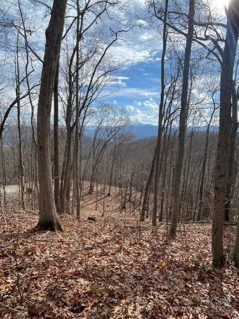 Property image 3 of 00 Signature Row Boulevard in Avalon, Waynesville, NC 28785