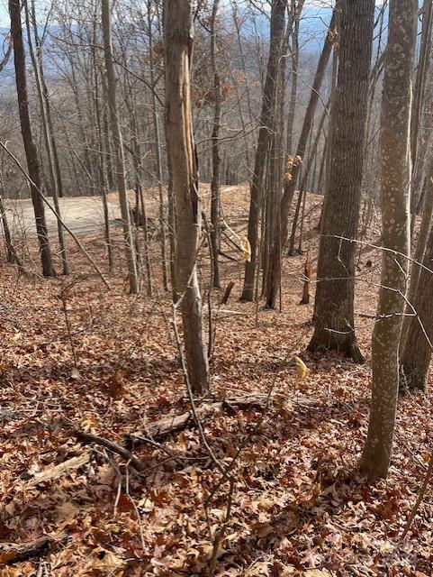 Property image 4 of 00 Signature Row Boulevard in Avalon, Waynesville, NC 28785