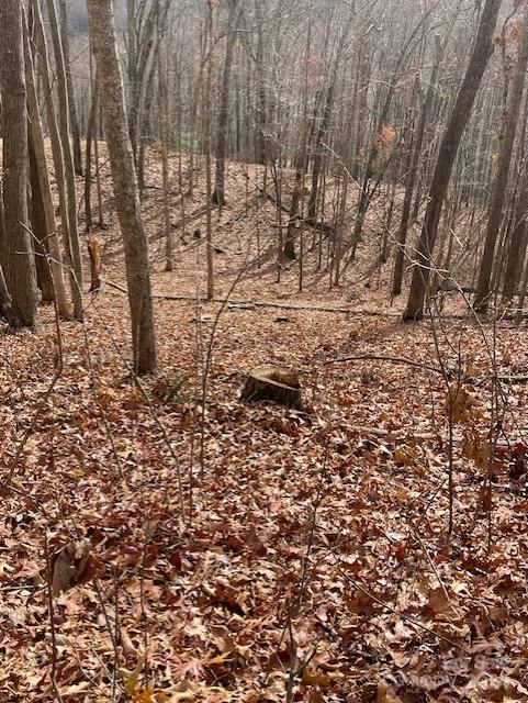 Property image 5 of 00 Signature Row Boulevard in Avalon, Waynesville, NC 28785