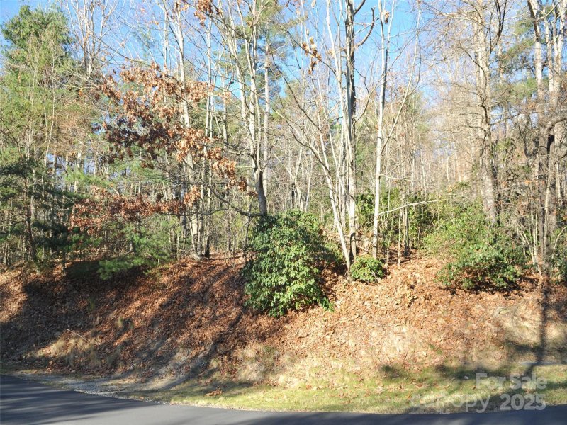 Property image 5 of 000 Didrikson Way in Champion Hills, Hendersonville, NC 28739