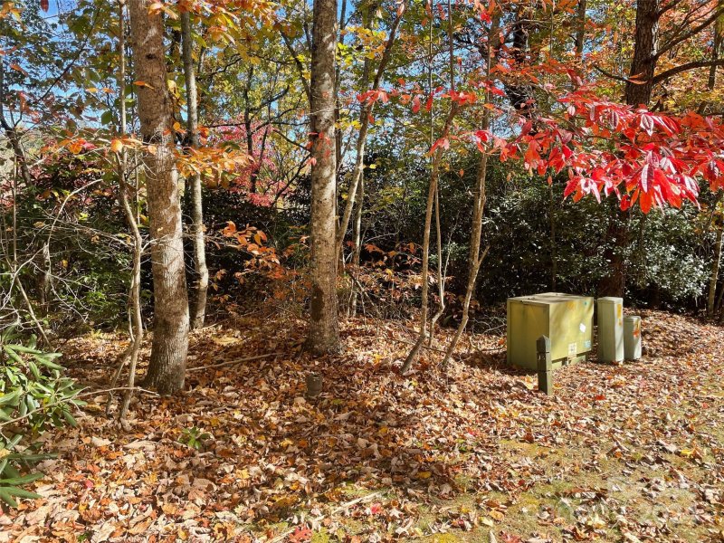 Property image 2 at 0000 Pine Mountain Trail, Brevard, NC 28712