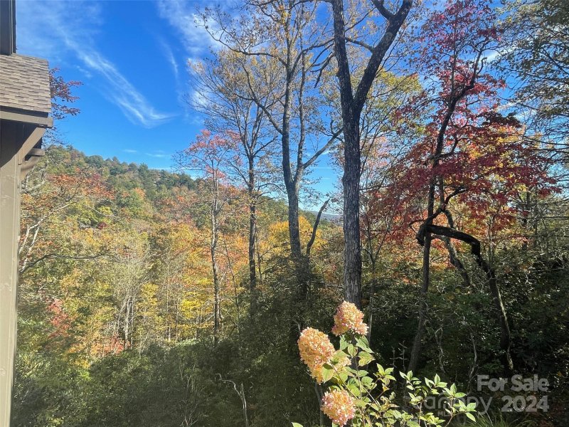 Property image 3 at 0000 Pine Mountain Trail, Brevard, NC 28712