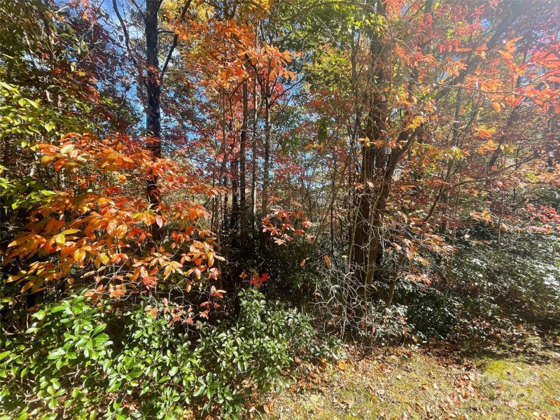 Property image 4 at 0000 Pine Mountain Trail, Brevard, NC 28712